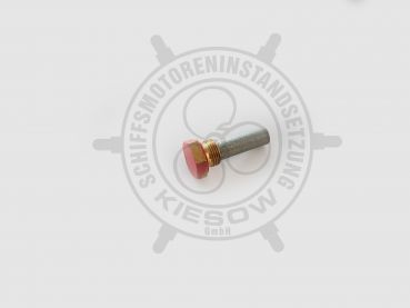 Zinkanode (inkl. Sechskanntmutter) für Motorblock