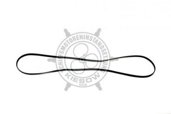 Nanni Ventildeckeldichtung 970500502